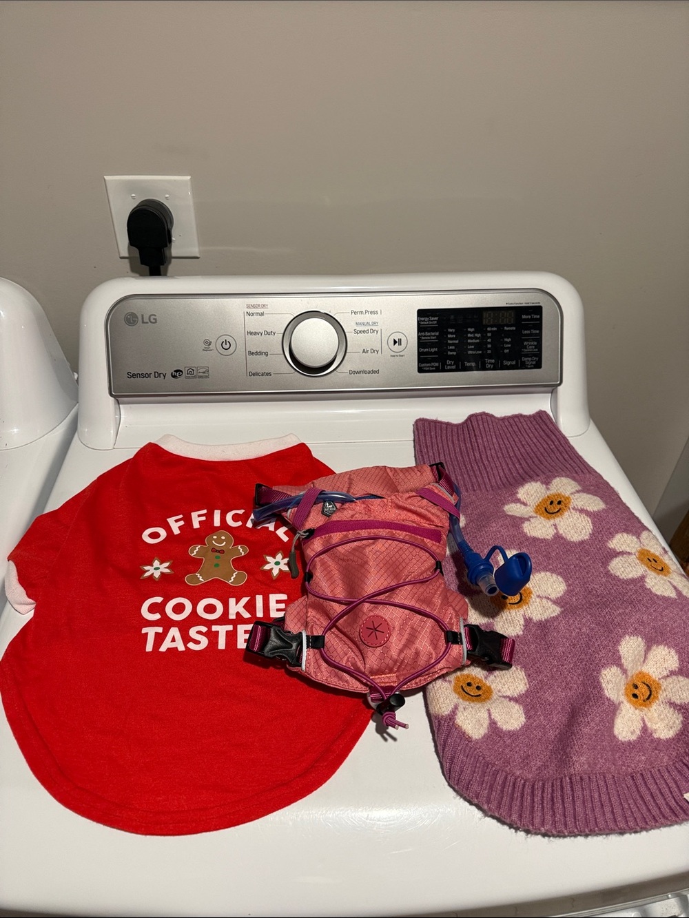 Lot of Puppy/Small Dog Accessories and Clothes